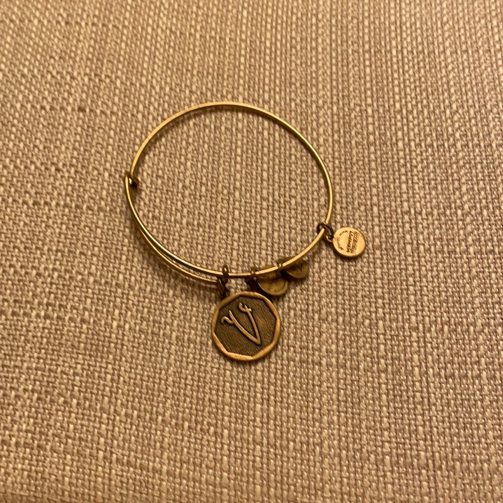 Alex and Ani bracelet V
